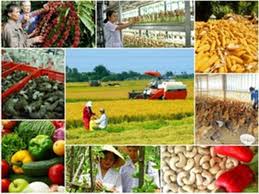 Cơ chế, chính sách khuyến khích doanh nghiệp đầu tư  vào nông nghiệp, nông thôn trên địa bàn tỉnh Quảng Nam