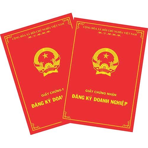 Tình hình đăng ký doanh nghiệp trong tháng 02 và 02 tháng năm 2024